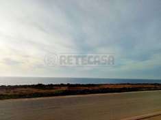 Foto Vigneto in vendita a Mazara del Vallo