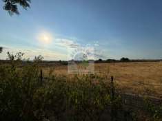 Foto VILLA ALL'INTERNO DEL RESIDENCE DI AVOLA ANTICA