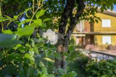 Foto Villa bifamiliare in vendita a Concordia Sagittaria