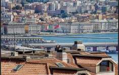Foto Villa bifamiliare in vendita a Trieste