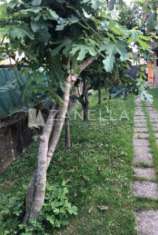 Foto Villa di 280 m con pi di 5 locali e box auto doppio in vendita a Riese Pio X