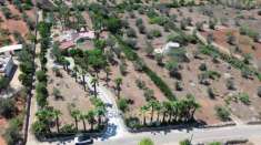 Foto Villa immersa nel verde vicina al mare