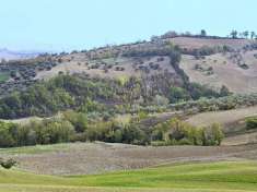 Foto Villa in Contrada Arci