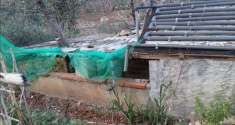 Foto Villa in Vendita, pi di 6 Locali, 136 mq, Taggia (Arma di Taggi