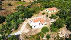 Foto Villa in Vendita, pi di 6 Locali, 230 mq, Aglientu