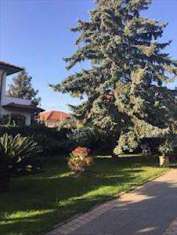 Foto Villa in Vendita, pi di 6 Locali, 300 mq (CASTELNUOVO MAGRA MOL
