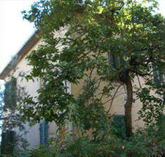 Foto Villa in Vendita, pi di 6 Locali, pi di 6 Camere, 450 mq (MONT