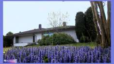 Foto Villa in vendita a Appiano Gentile