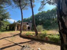 Foto Villa in vendita a Arezzo 400 mq  Rif: 1084274