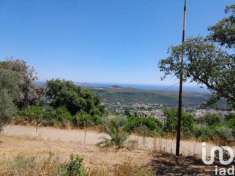 Foto Villa in vendita a Bari Sardo