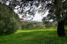 Foto Villa in vendita a Berchidda