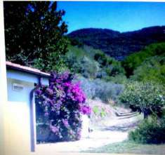 Foto Villa in vendita a Bozzano - Massarosa 200 mq  Rif: 944149