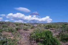 Foto Villa in vendita a Bronte