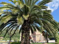 Foto Villa in vendita a Caiazzo