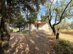 Foto Villa in vendita a Castel Sant'Elia
