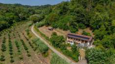 Foto Villa in vendita a Castell'Alfero