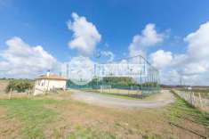 Foto Villa in vendita a Cerveteri
