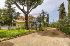 Foto Villa in vendita a Corato