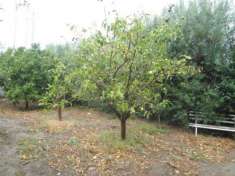 Foto Villa in vendita a Crotone