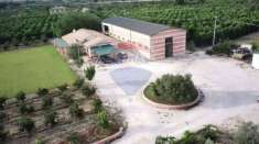 Foto Villa in vendita a Grammichele