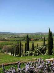 Foto Villa in vendita a Manciano 250 mq  Rif: 1054097