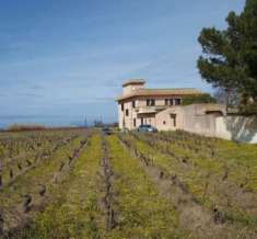Foto Villa in vendita a Marsala