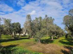 Foto Villa in vendita a Melendugno