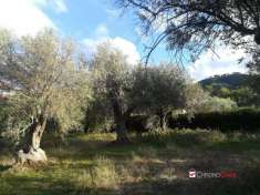 Foto Villa in vendita a Messina