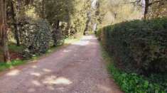 Foto Villa in vendita a Montelupo Fiorentino - 5 locali 140mq