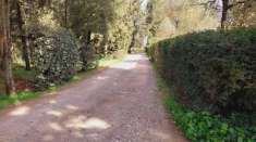 Foto Villa in vendita a Montelupo Fiorentino