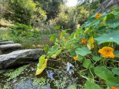 Foto Villa in vendita a Montemagno - Calci 400 mq  Rif: 1279117