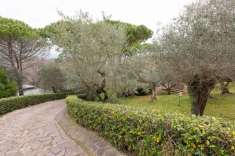 Foto Villa in vendita a Montescudaio