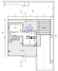 Foto Villa in vendita a Nettuno