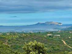 Foto Villa in vendita a Olbia