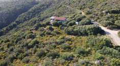Foto Villa in vendita a Olbia