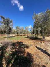 Foto Villa in vendita a Ostuni
