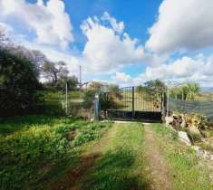 Foto Villa in vendita a Ozieri