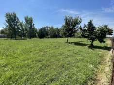 Foto Villa in vendita a Pegognaga