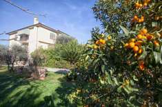 Foto Villa in vendita a Pontasserchio - San Giuliano Terme 300 mq  Rif: 1243129
