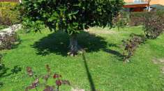 Foto Villa in vendita a San Frediano a Settimo - Cascina 250 mq  Rif: AC350321