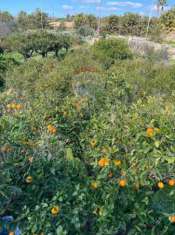 Foto Villa in vendita a Scicli