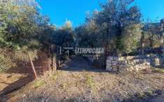 Foto Villa in vendita a Sonnino