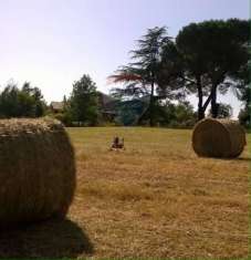 Foto Villa in vendita a Vejano