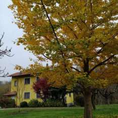 Foto VILLA IN VENDITA NEL VERDE - ZONA CHRIST - VICINANZE CENTRO CITTA'