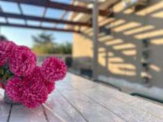 Foto Villa in Via Grosseto