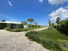 Foto Villa o villino in Vendita, pi� di 6 Locali, 205 mq (Matino)