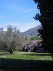 Foto villa segromigno - Villa a Capannori - Segromigno in Monte
