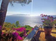 Foto Villa unifamiliare in vendita a Monte Argentario - 15 locali 800mq