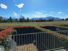 Foto Villetta a schiera in vendita a Sant'Alessio - Lucca 100 mq  Rif: 1303241