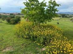 Foto Villetta bifamiliare in vendita a Cerreto Guidi 110 mq  Rif: 1271354